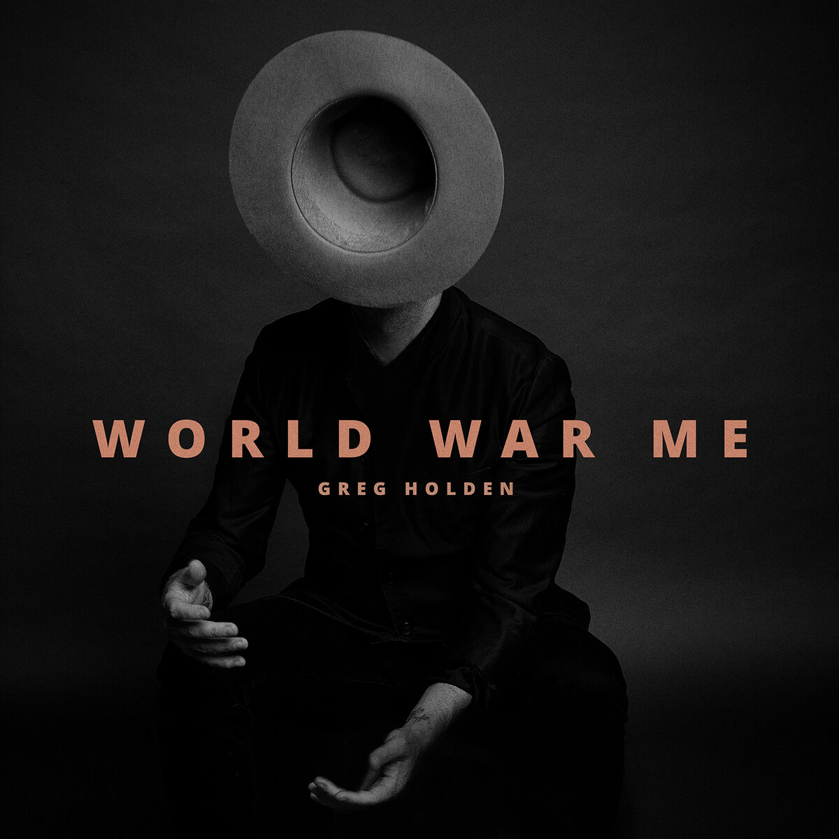 Album cover of I'm Not Your Enemy