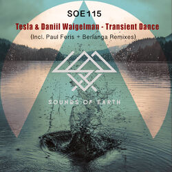 Cover of Transient Dancer