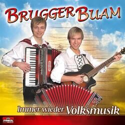 Cover of Immer wieder Volksmusik