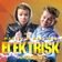 Elektrisk