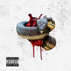 Cover of Poison
