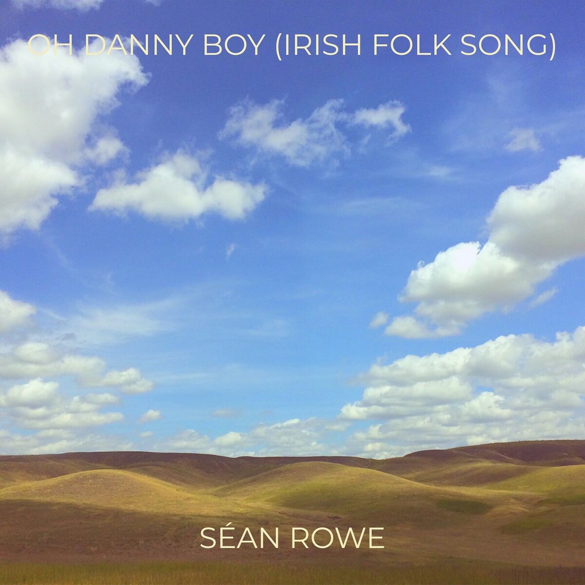 Album cover of Oh Danny Boy (Irish Folk Song)