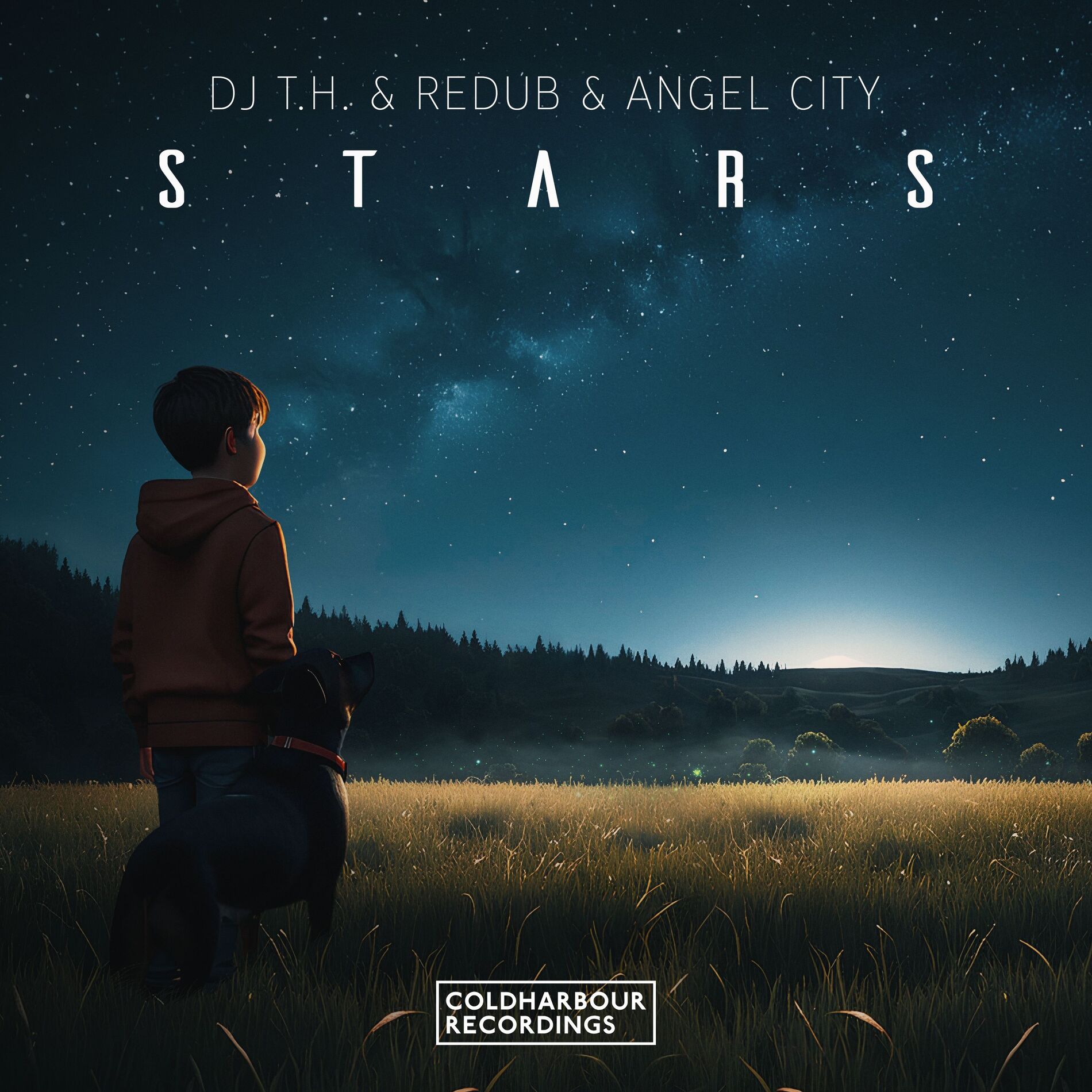 Album cover of Stars