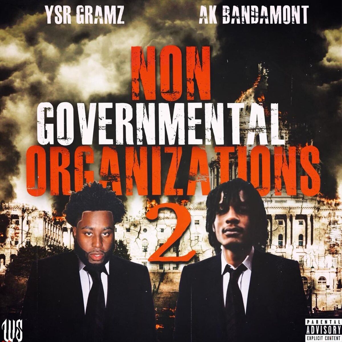 Album cover of Non Governmental Organizations 2