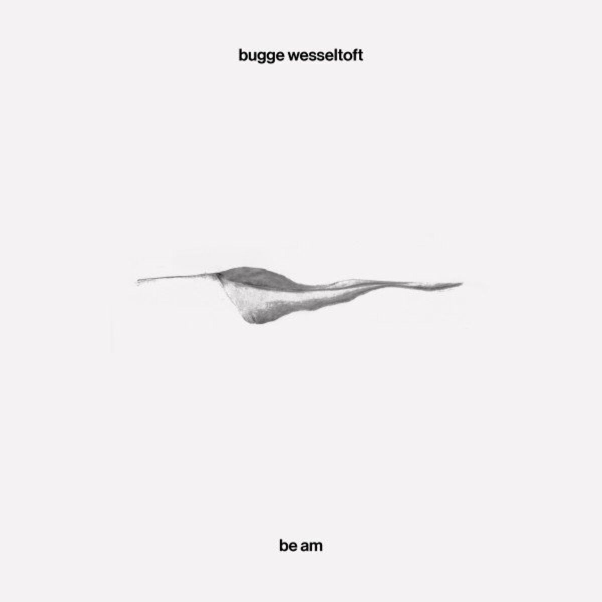 Album cover of Be Am