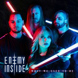 Cover of What We Used to Be