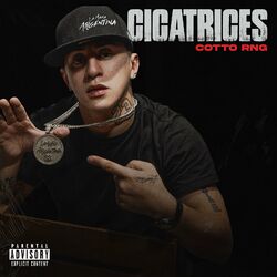 Cover of Cicatrices