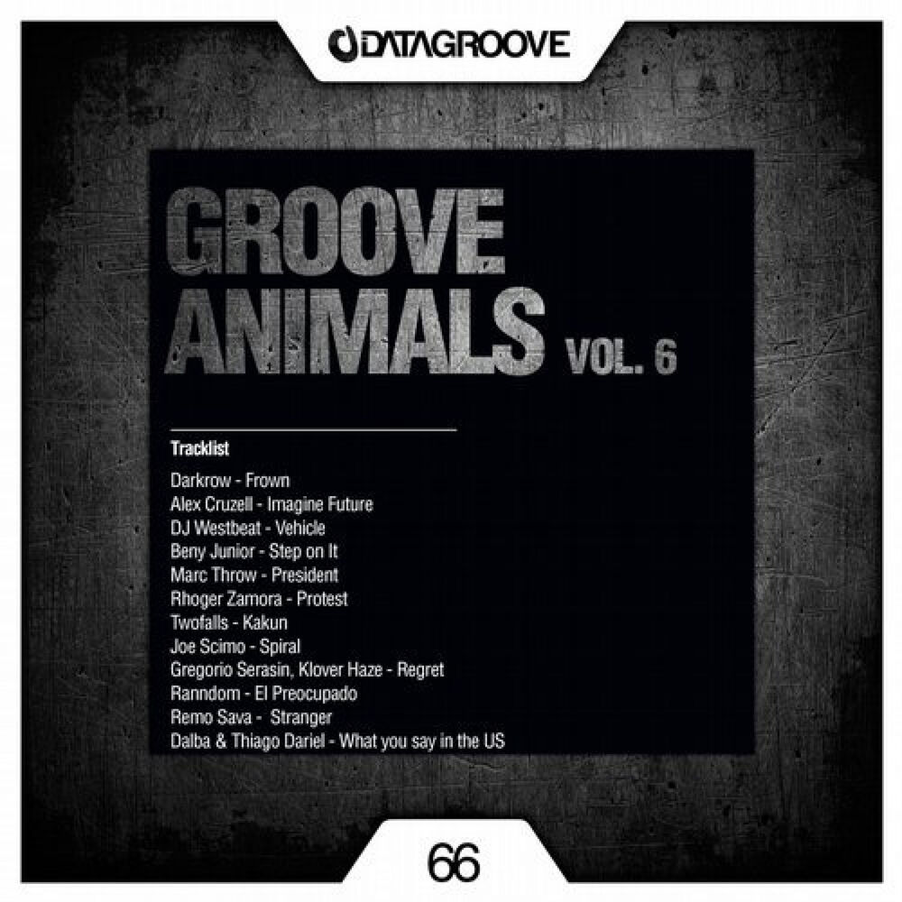 Picture of Groove Animals Vol. 6