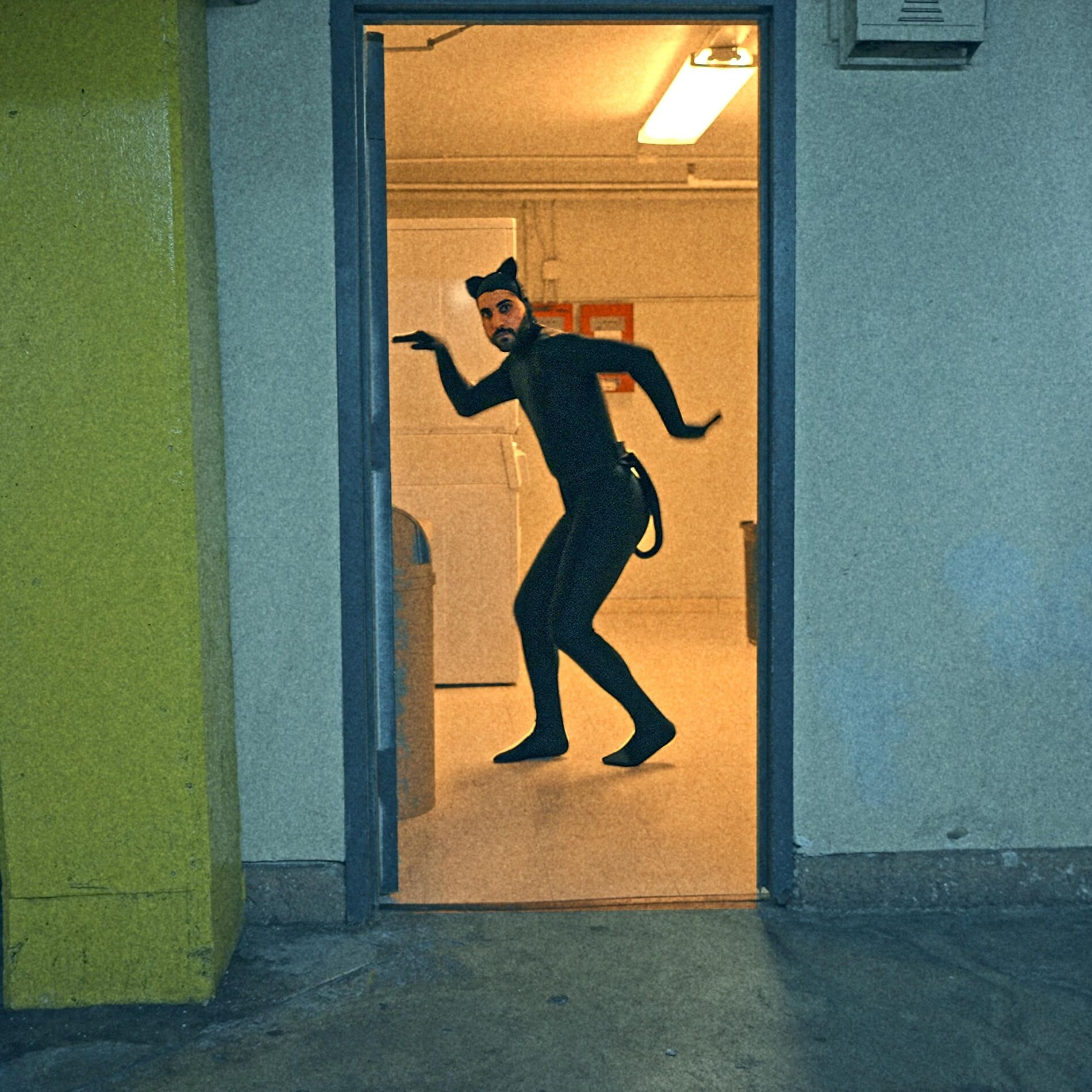 Album cover of I WANNA BE A CAT
