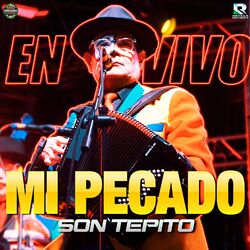 Cover of Mi Pecado ( En Vivo )