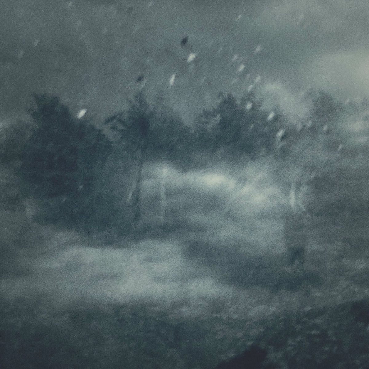 Album cover of Enteha