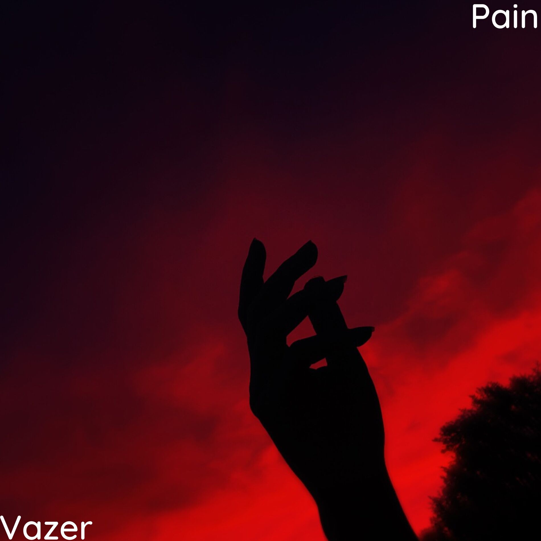 Album cover of Pain