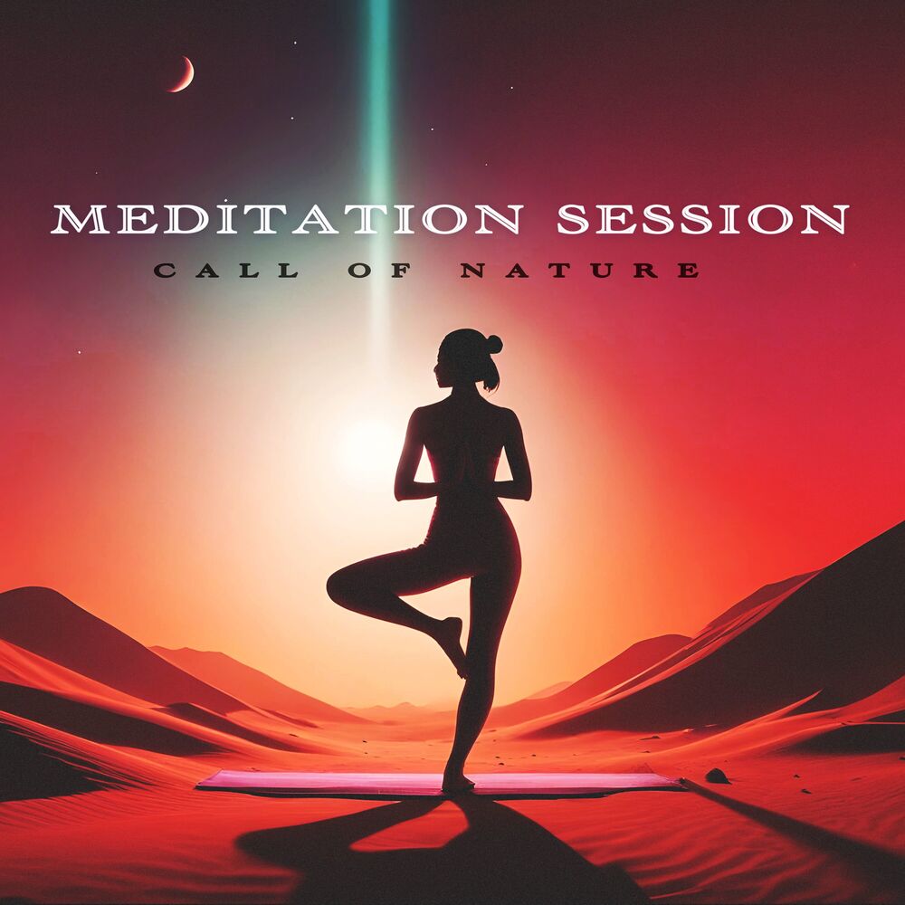 Picture of Meditation Session
