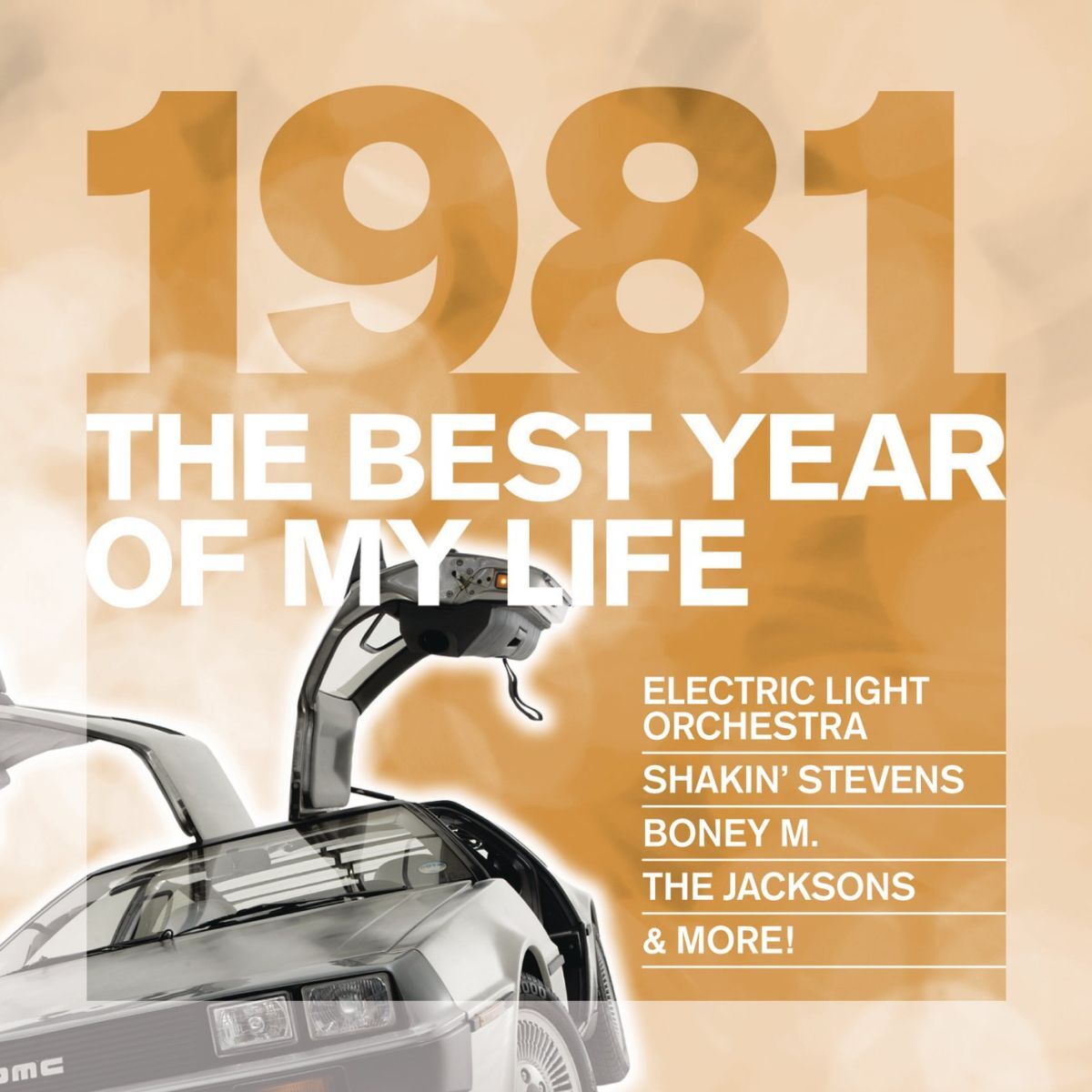 Album cover of The Best Year Of My Life: 1981G010004775674D