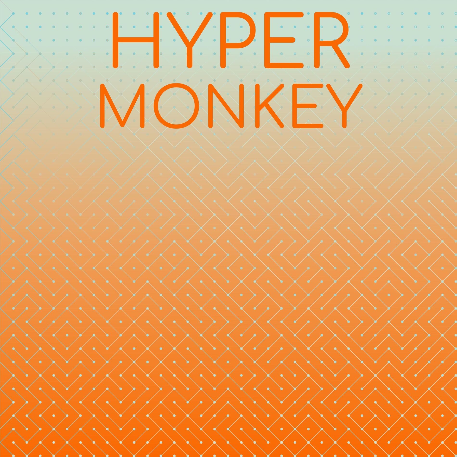 Album cover of Hyper Monkey