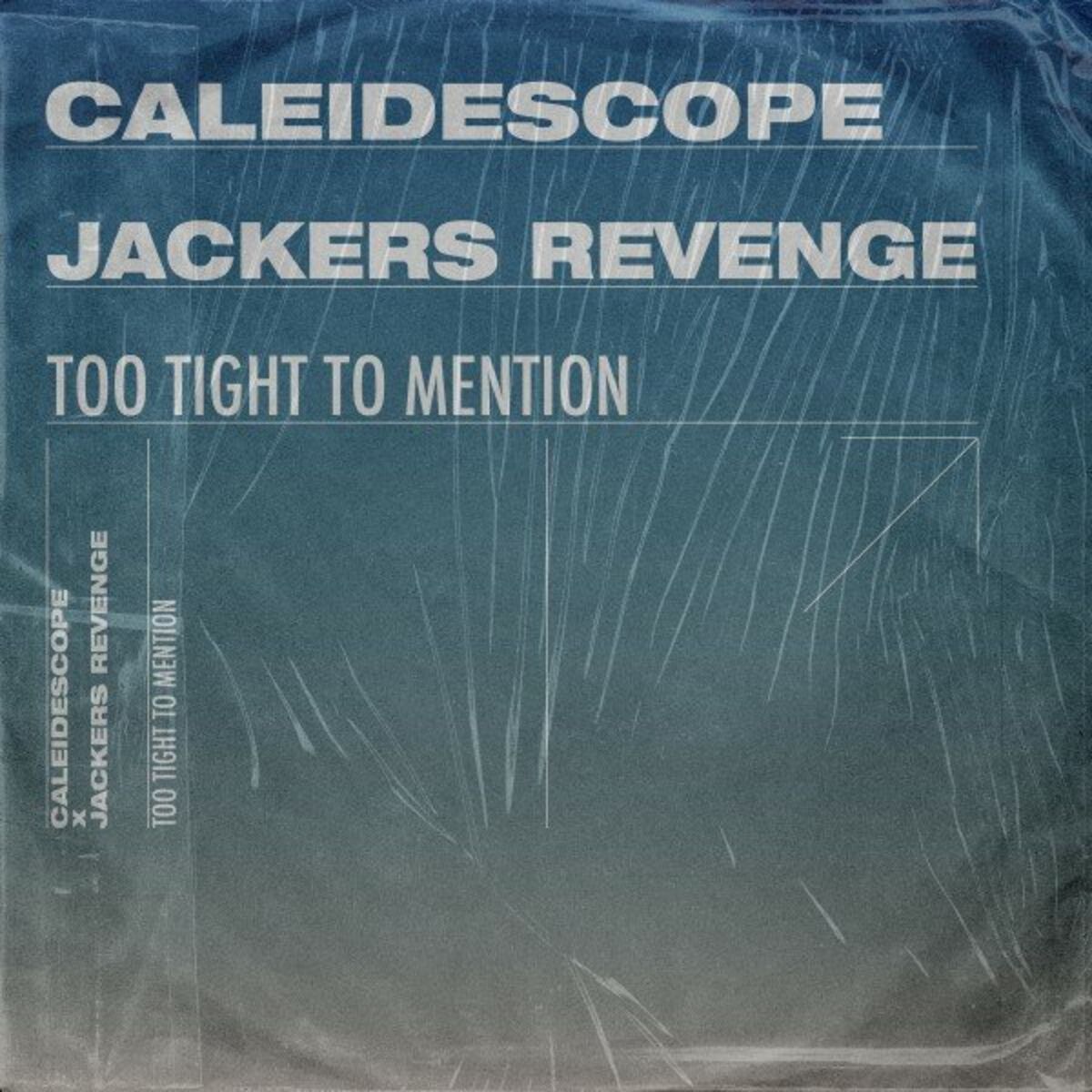 Album cover of Too Tight to Mention (Jackers Revenge Short Version)