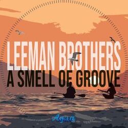 Cover of A Smell of Groove
