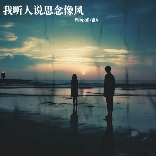 我听人说思念像风
