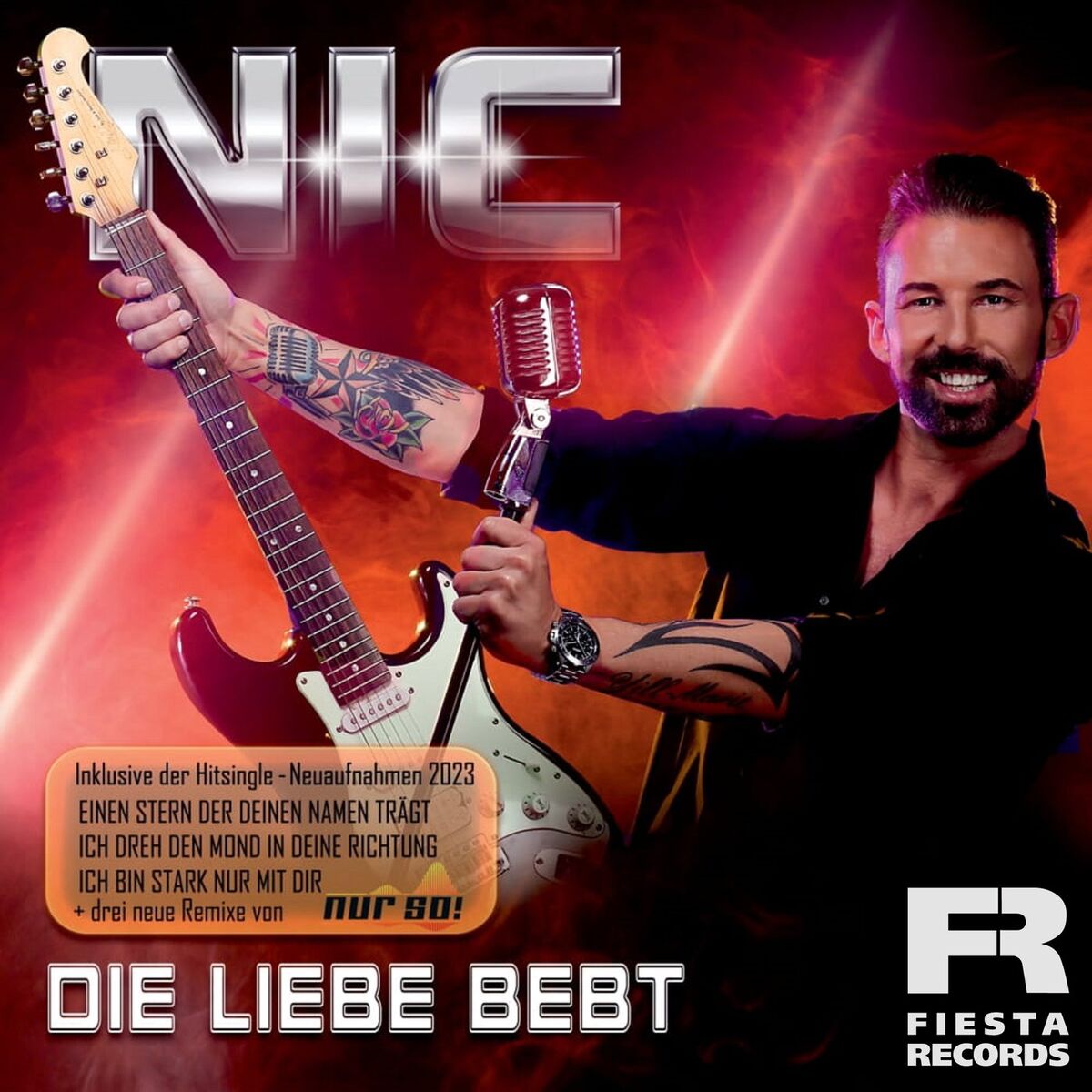 Album cover of Die Liebe bebt