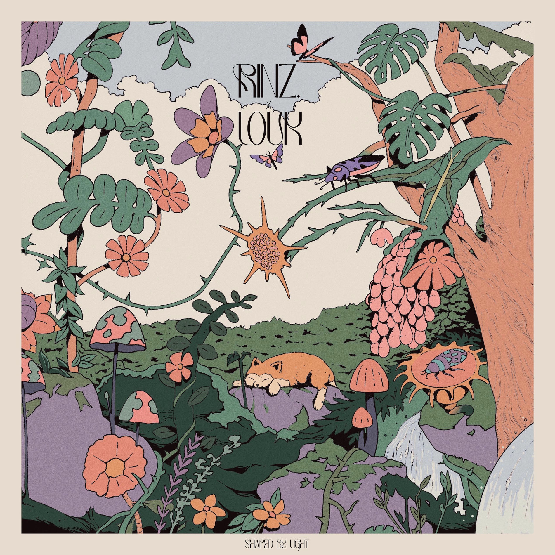 Album cover of Shaped by Light