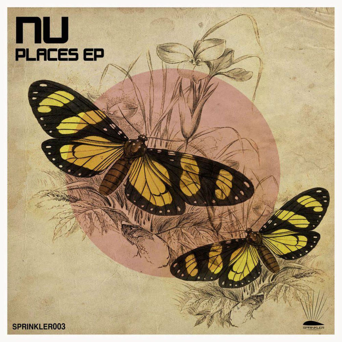 Album cover of Places