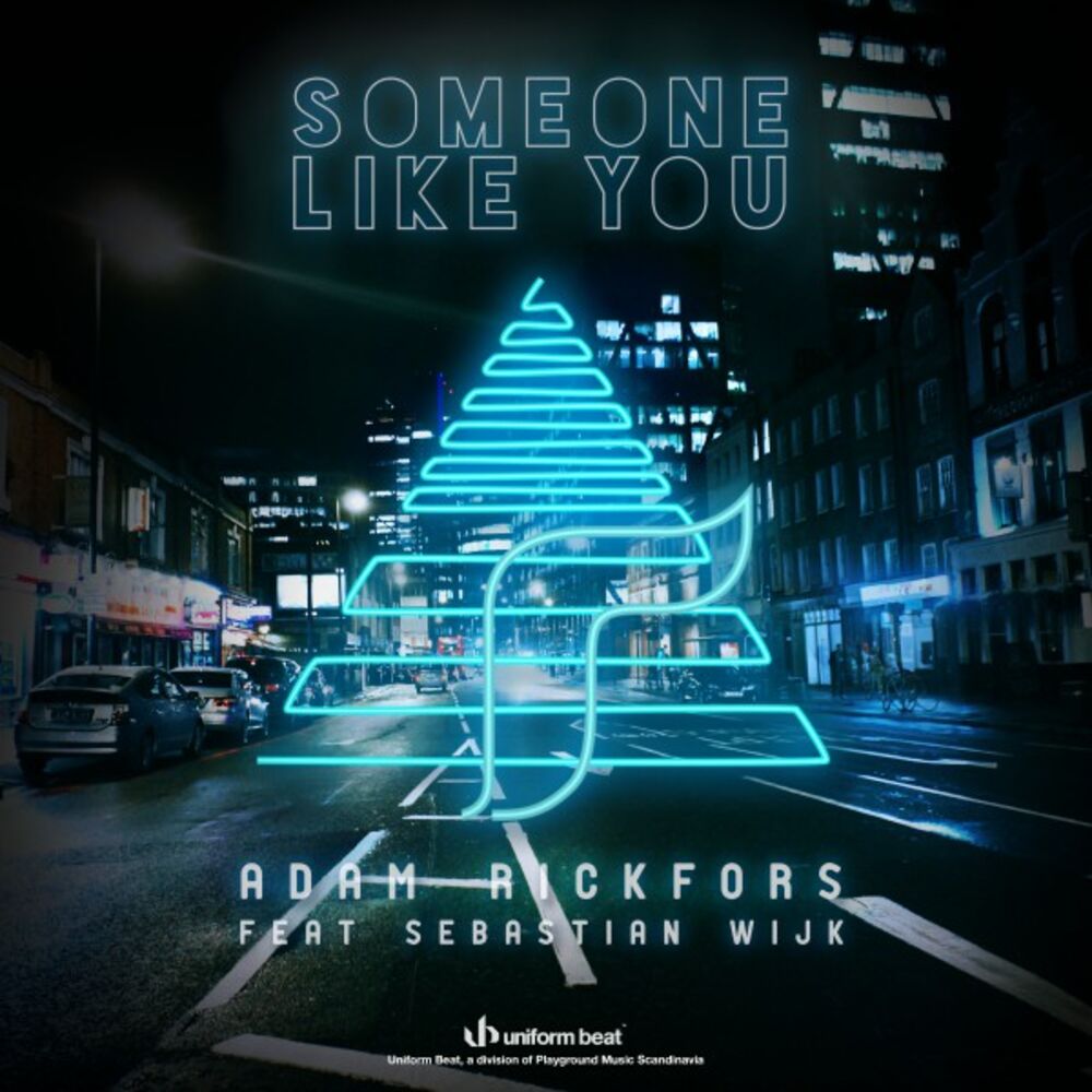 Picture of Someone Like You
