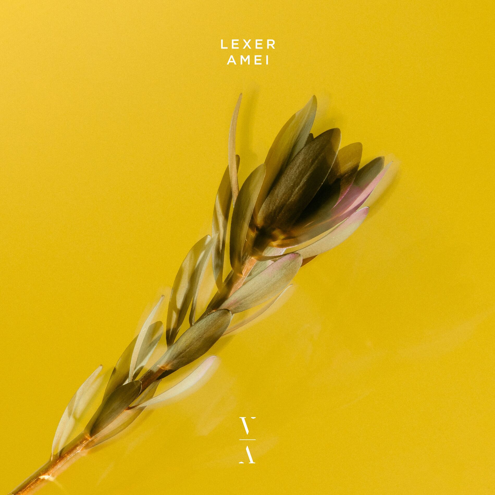 Album cover of Amei