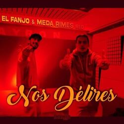 Cover of Nos délires