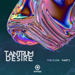 Cover of The Flow, Pt. 1