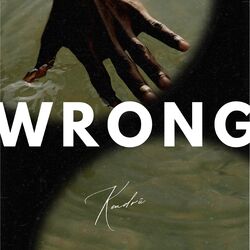 Cover of Wrong