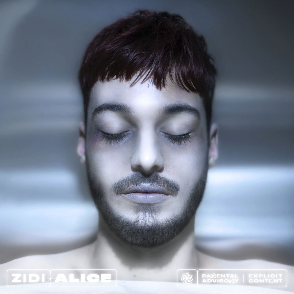 Album cover of Alice
