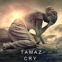 Cover of Cry