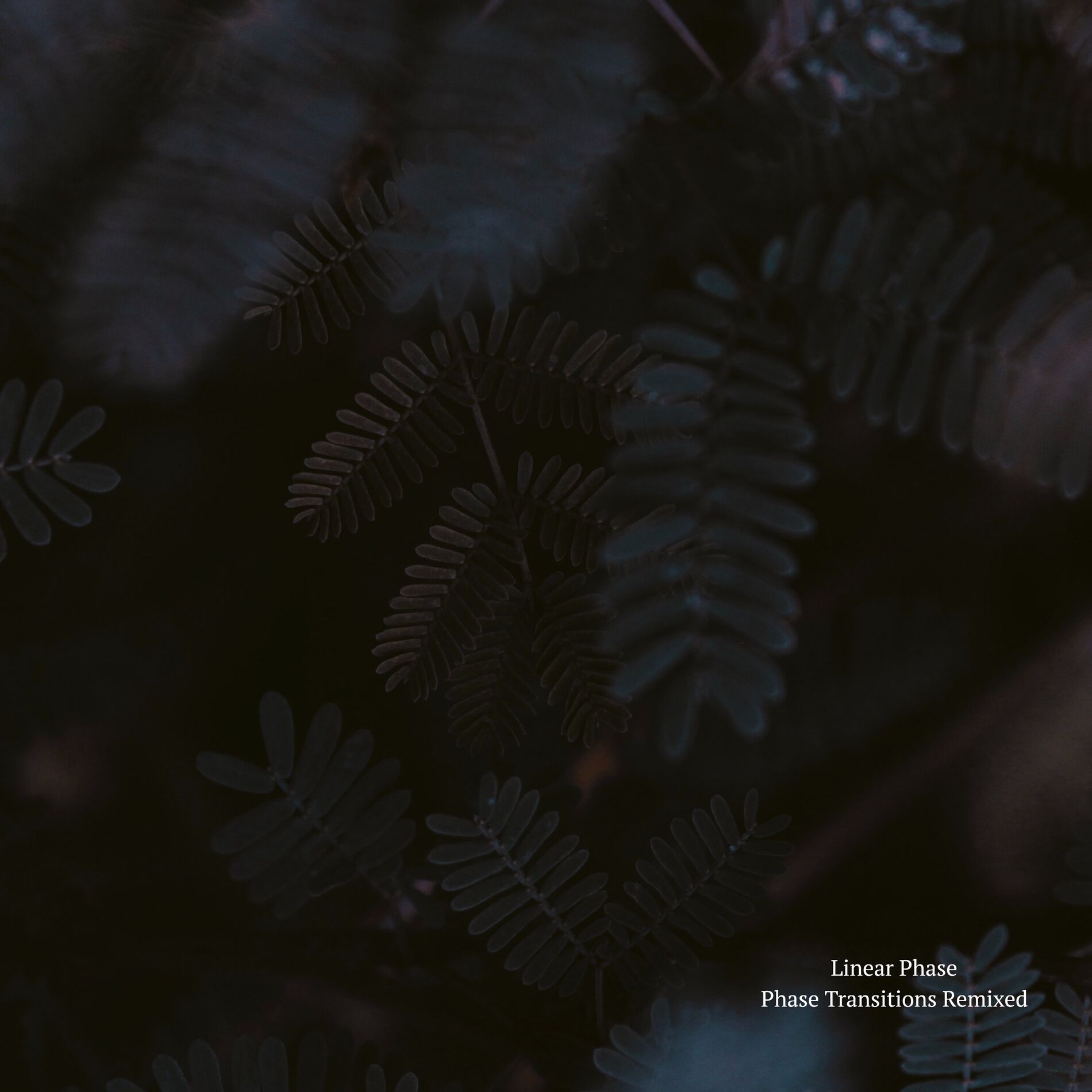 Album cover of Phase Transitions - Remixed
