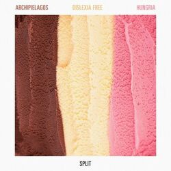 Cover of split