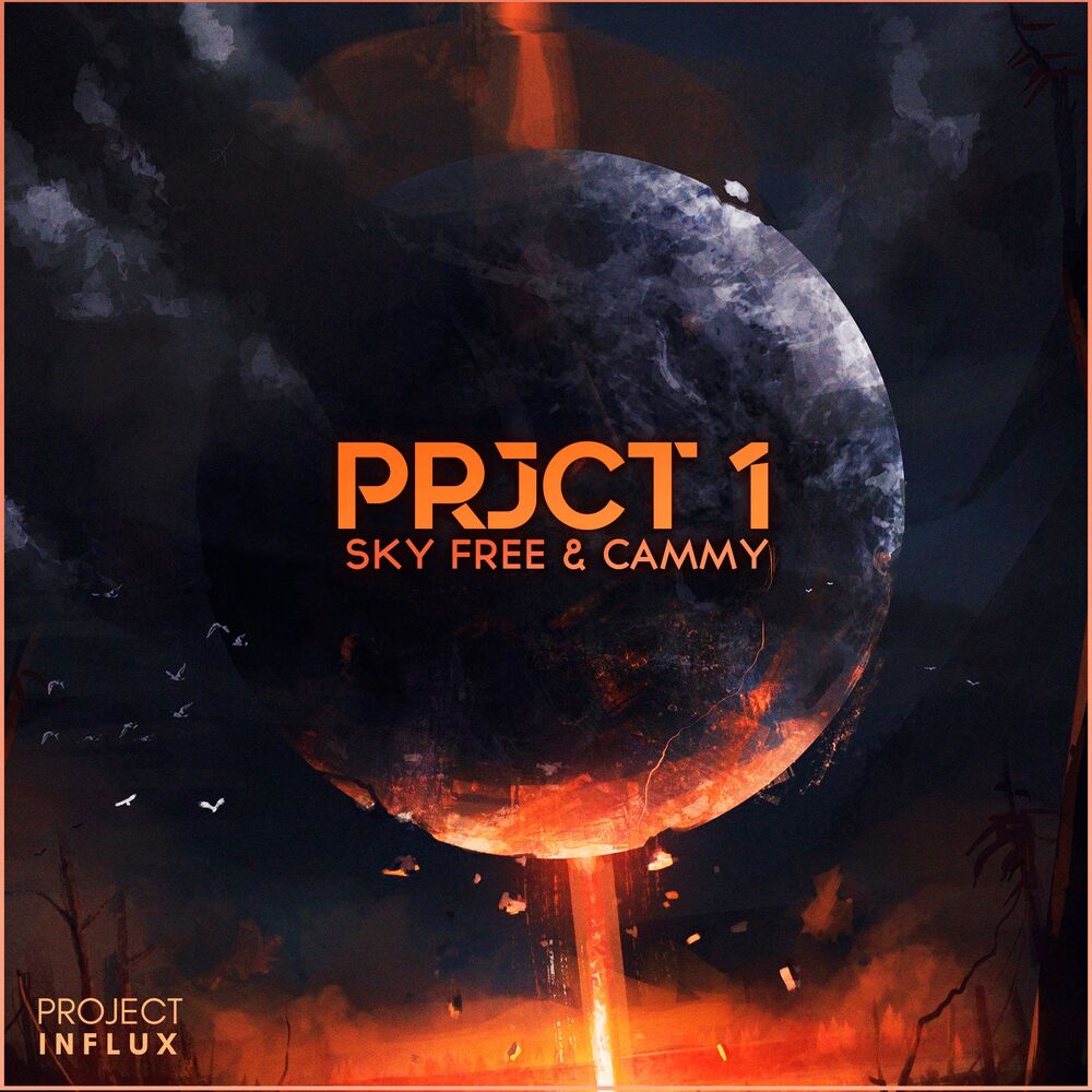 Picture of Prjct 1
