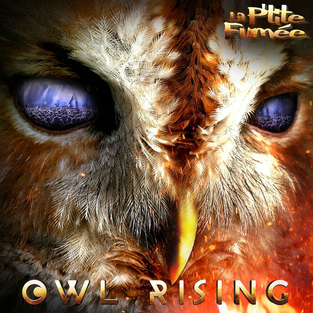 Picture of Owl Rising