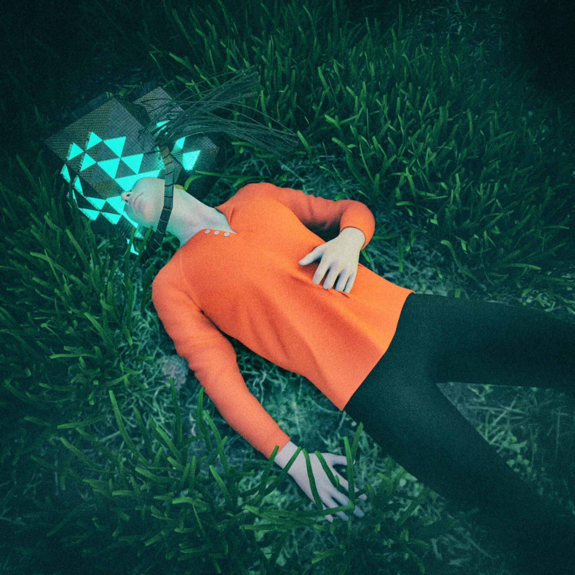 Album cover of Field at Night