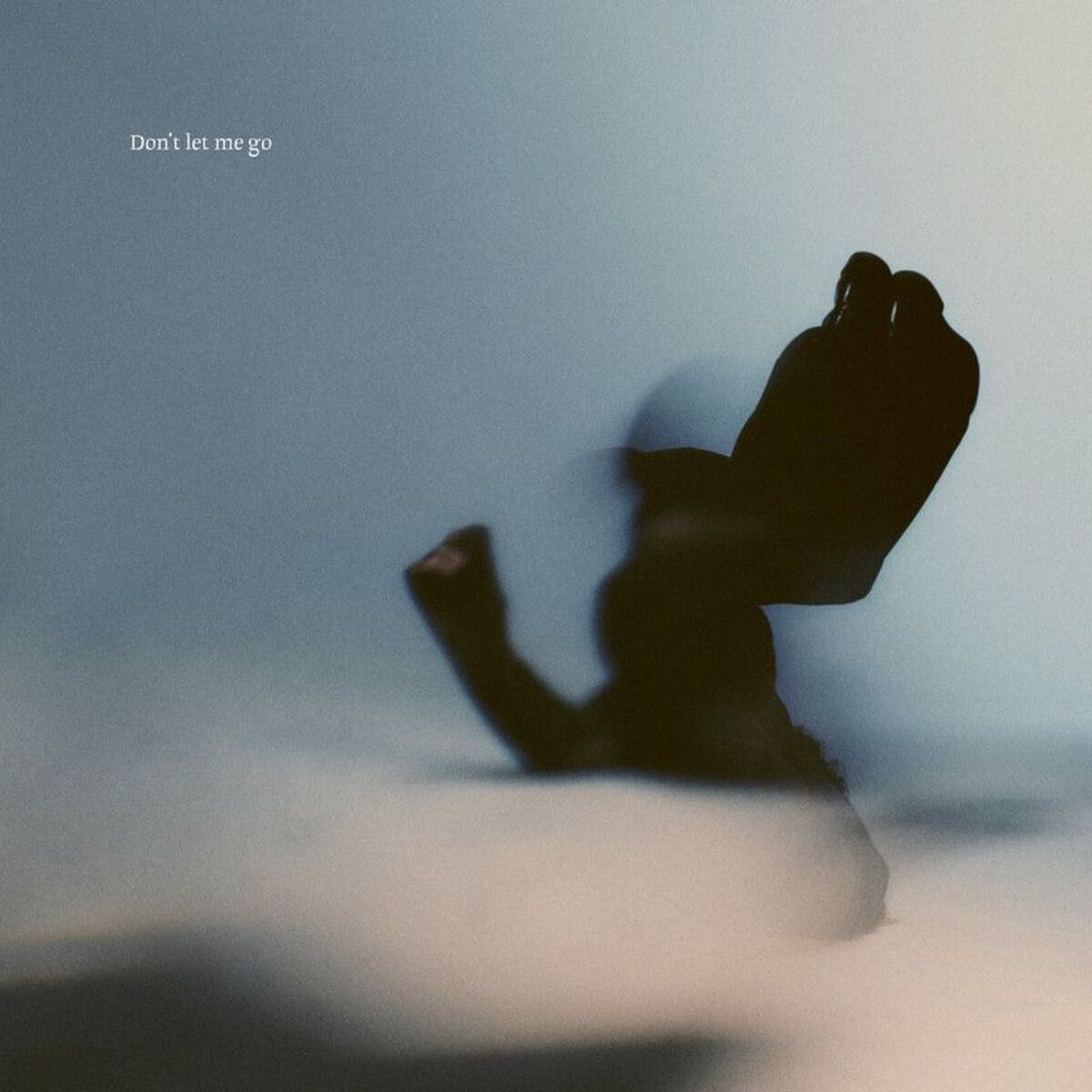 Album cover of Don't Let Me Go