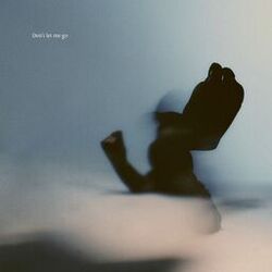 Don't Let Me Go