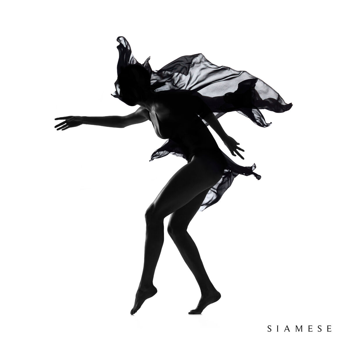 Album cover of Siamese