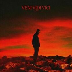 Cover of VENI VIDI VICI