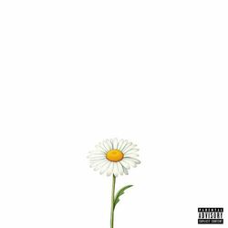Cover of Daisy