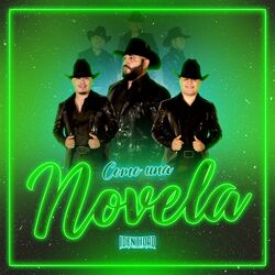 Cover of Como Una Novela