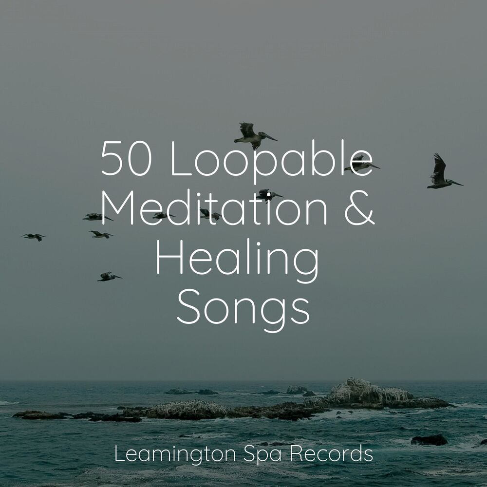 Picture of 50 Loopable Meditation & Healing Songs