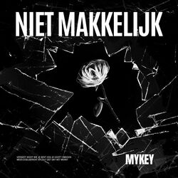 Cover of Niet Makkelijk