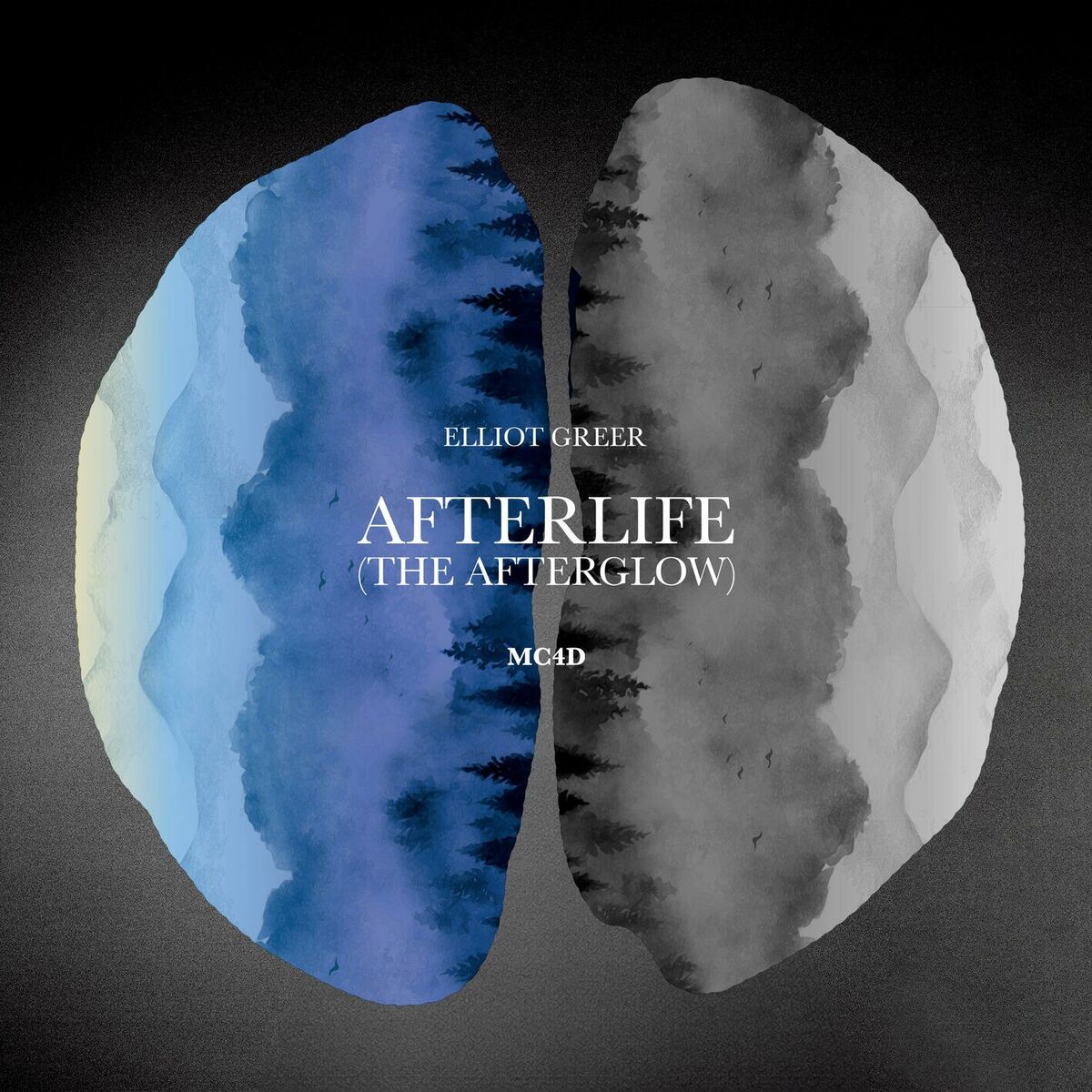 Album cover of Afterlife (The Afterglow)