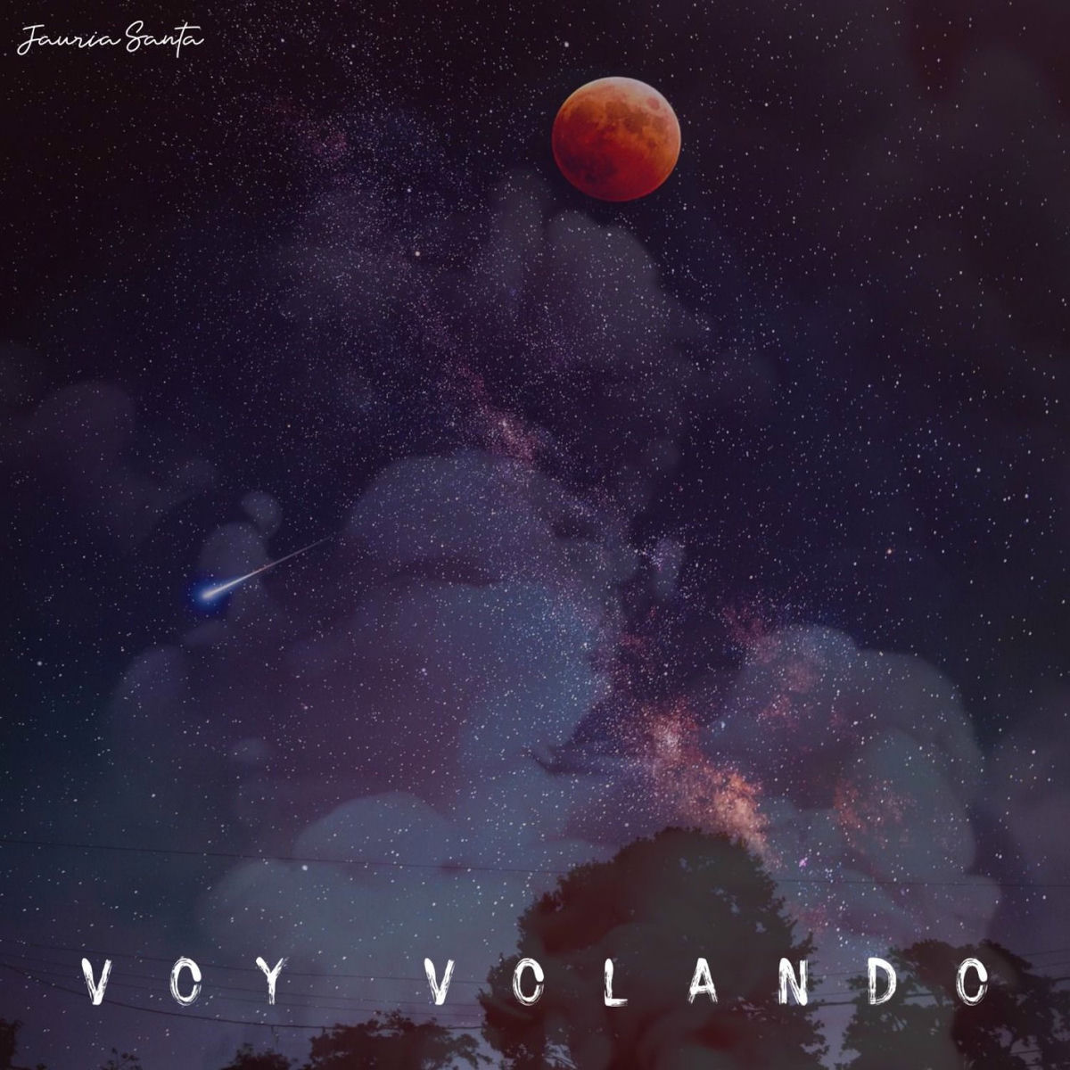 Album picture of Voy Volando