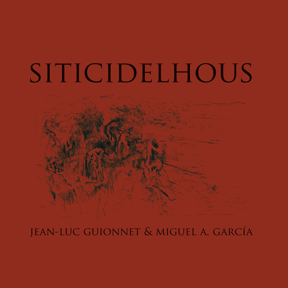 Picture of Siticidelhous