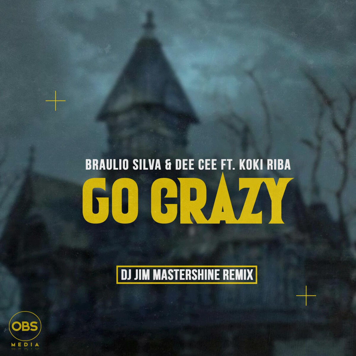 Album cover of Go Crazy (feat. Koki Riba)