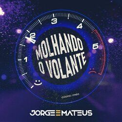 Cover of Molhando o Volante